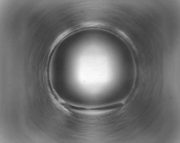 X0000081611330200701291417