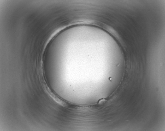 X0000081611332200701291417