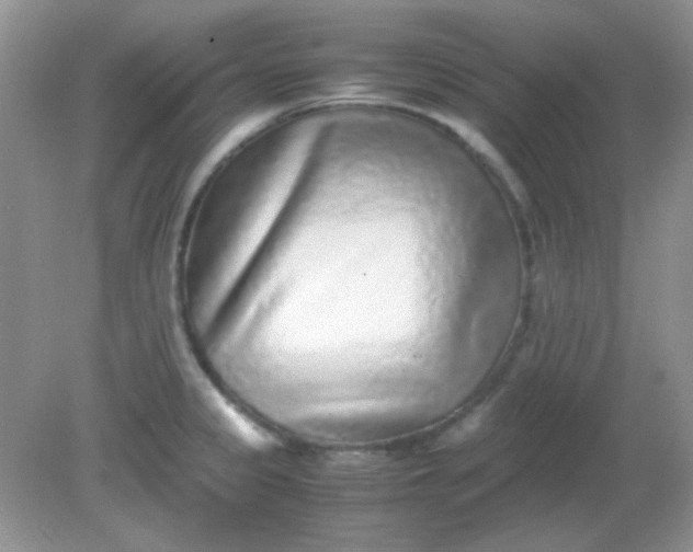 X0000081611333200701291417