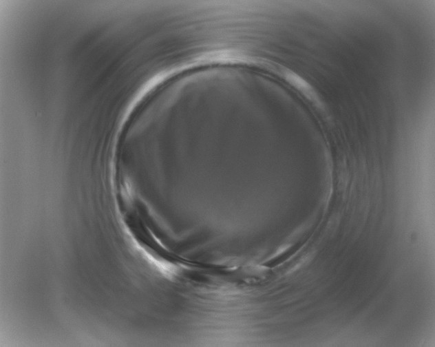 X0000081611334200701291417