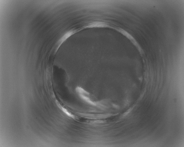 X0000081611337200701291417