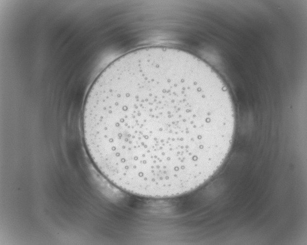 X0000081611338200701291417