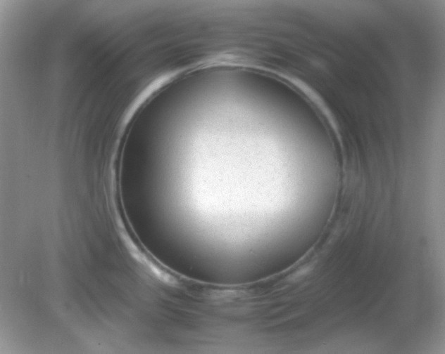 X0000081611341200701291417