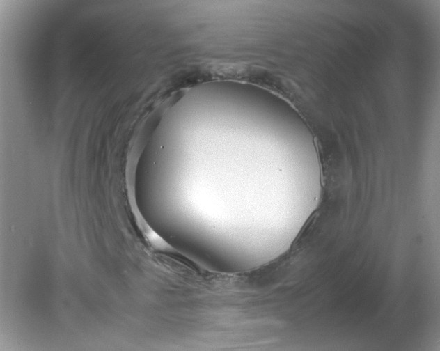 X0000081611345200701291416