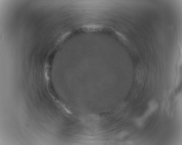 X0000081611346200701291416