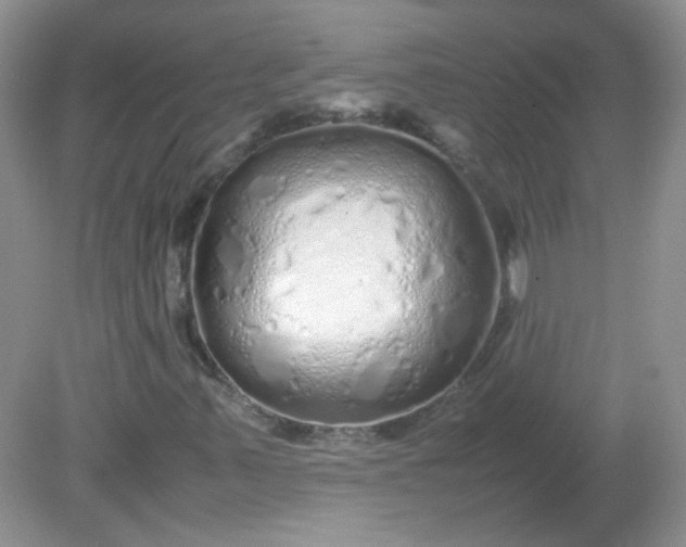 X0000081611347200701291416