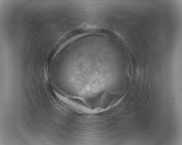 X0000081611348200701291416