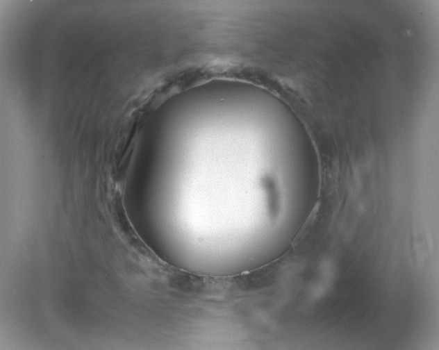 X0000081611349200701291416