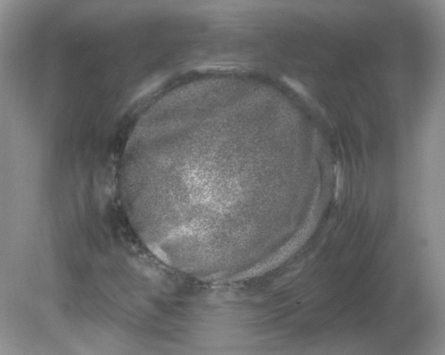 X0000081611350200701291416