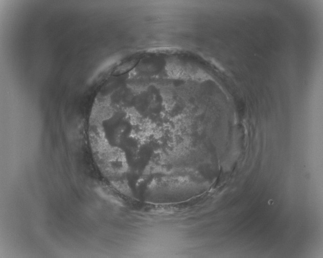 X0000081611351200701291416