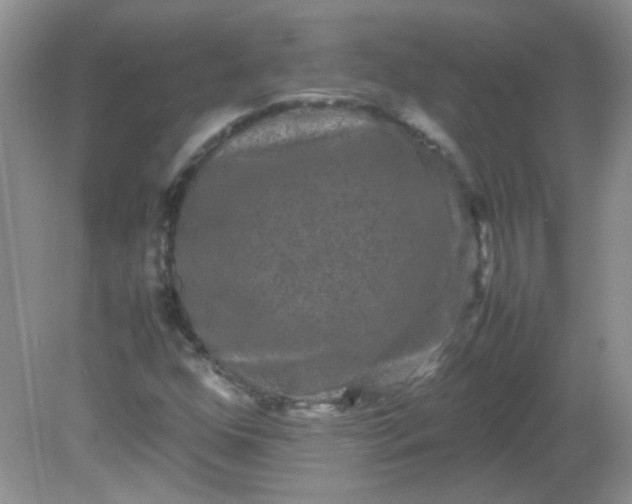 X0000081611352200701291416