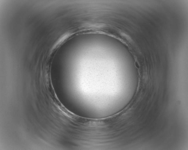 X0000081611354200701291416