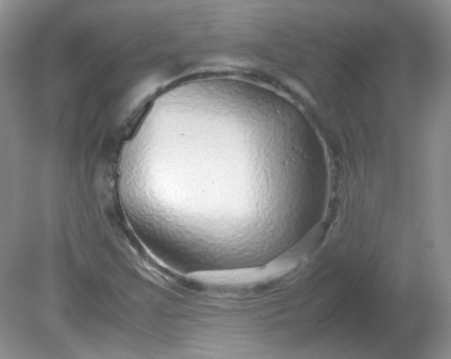 X0000081611355200701291416