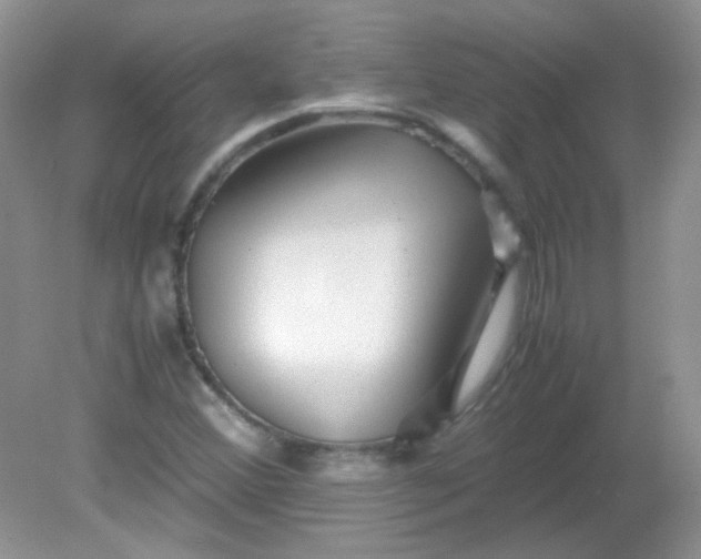 X0000081611356200701291416