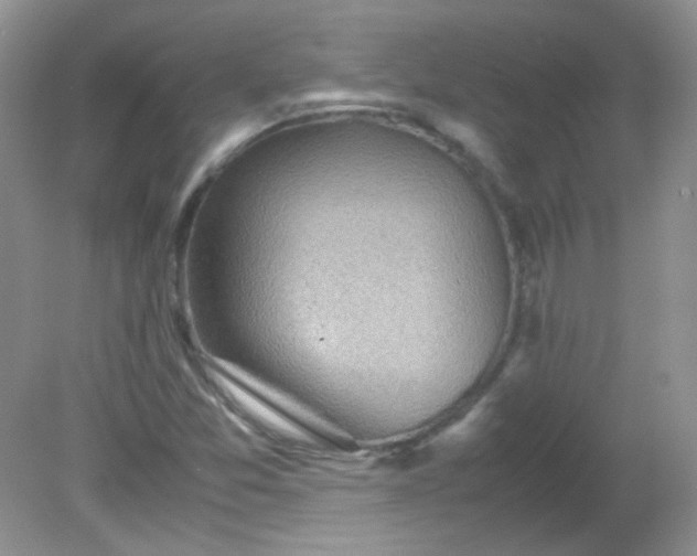 X0000081611357200701291416