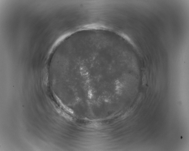 X0000081611358200701291416