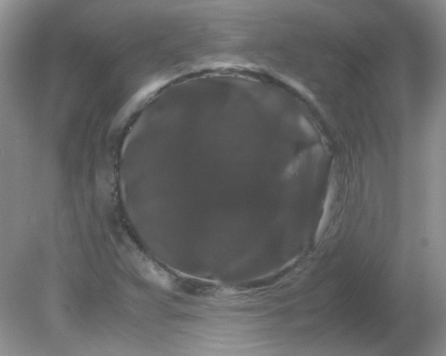 X0000081611359200701291416