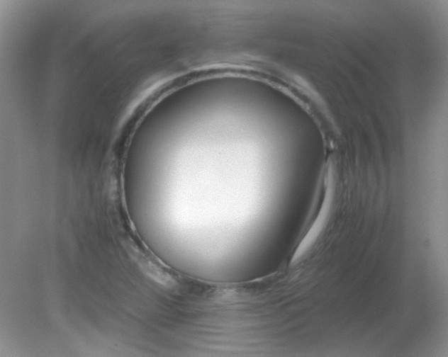 X0000081611360200701291416