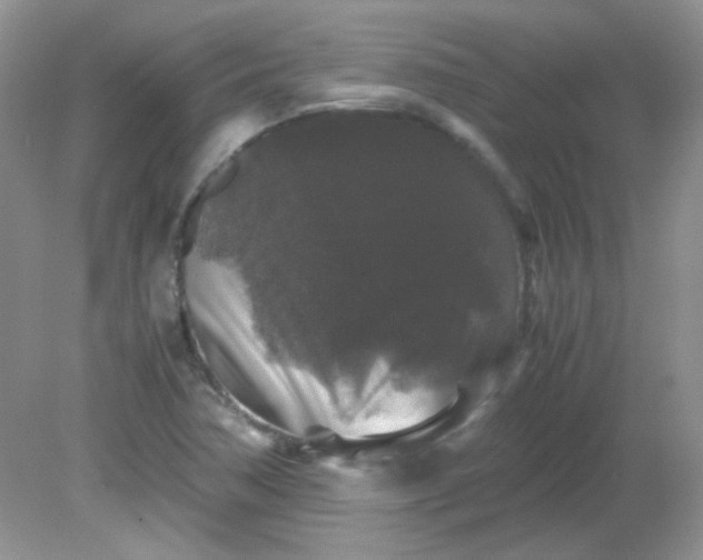 X0000081611362200701291416