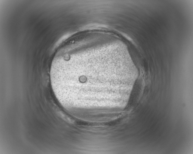 X0000081611363200701291416