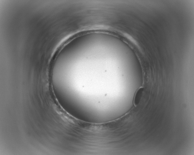 X0000081611364200701291416