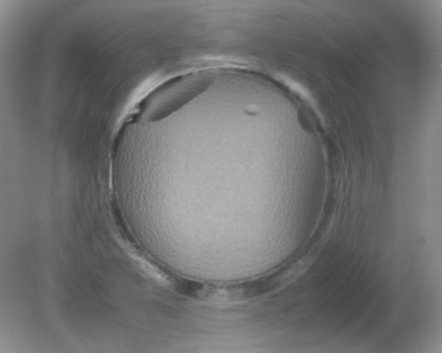 X0000081611365200701291416