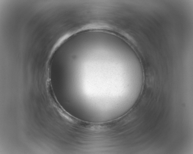 X0000081611366200701291416