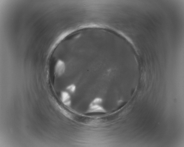 X0000081611367200701291416