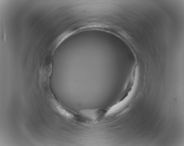 X0000081611369200701291416