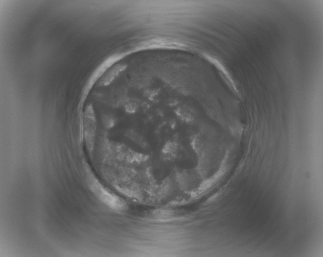 X0000081611371200701291416