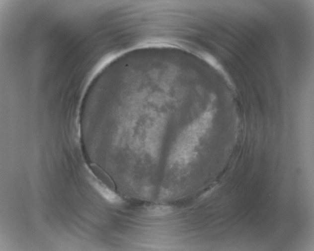 X0000081611372200701291416