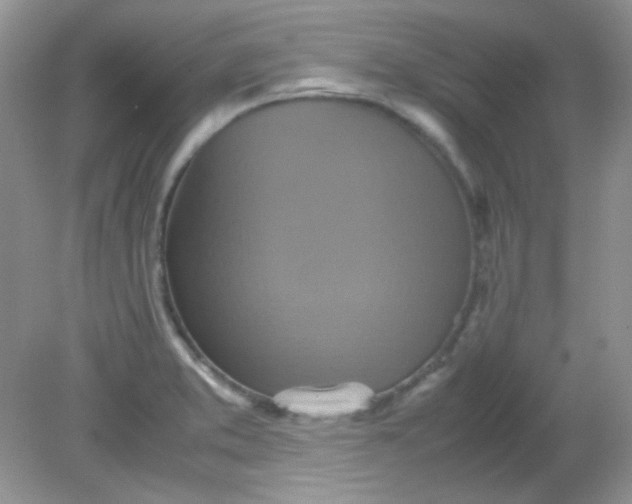 X0000081611373200701291416