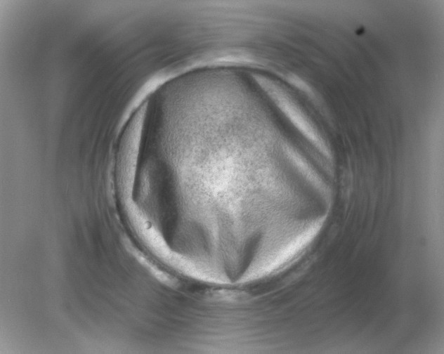 X0000081611374200701291416