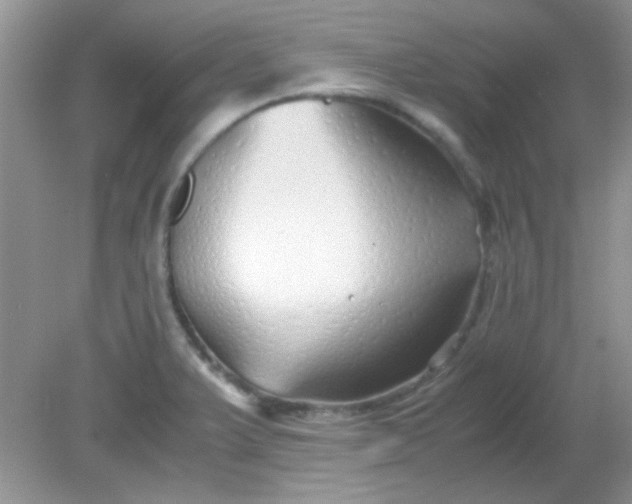 X0000081611375200701291416