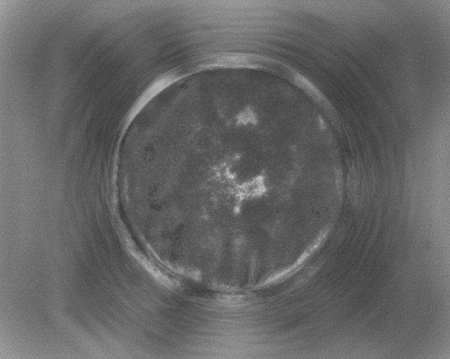 X0000081611378200701291416