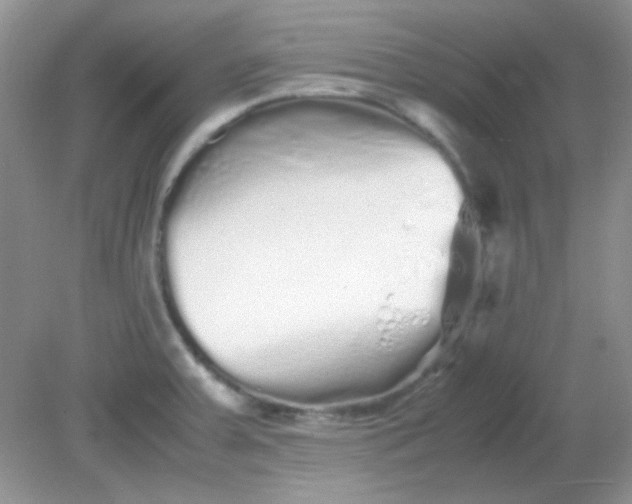 X0000081611379200701291416