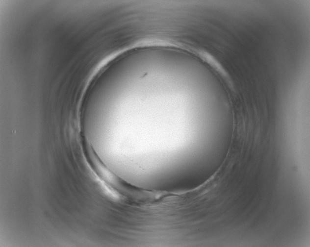 X0000081611380200701291416