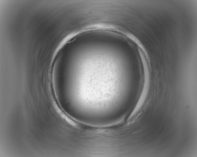 X0000081611381200701291416