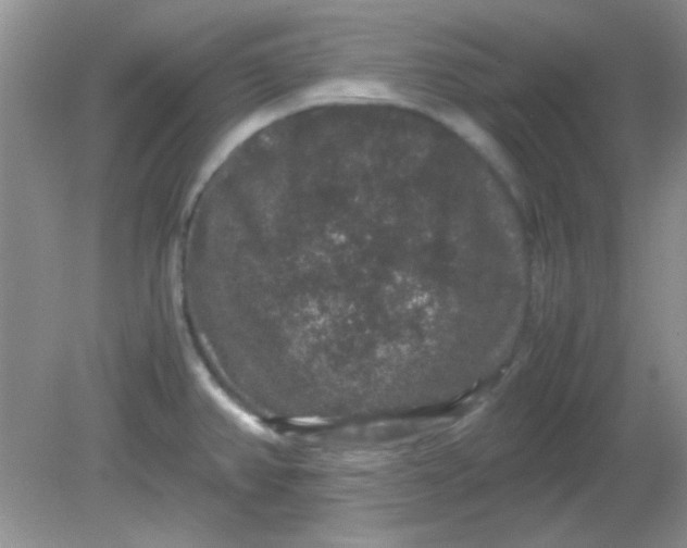 X0000081611382200701291416