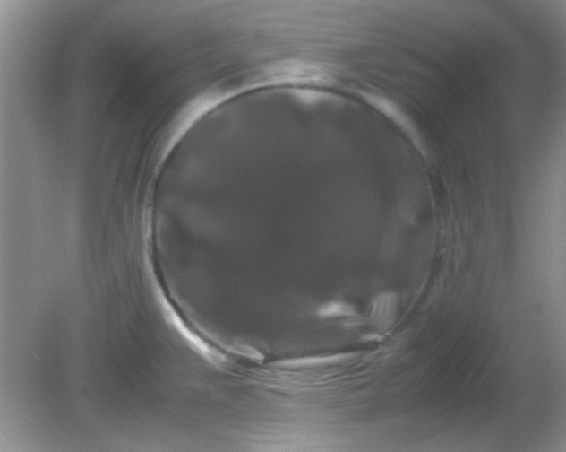 X0000081611383200701291416