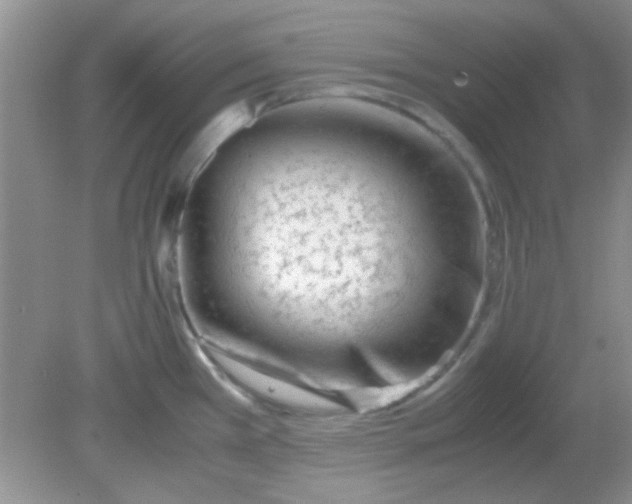 X0000081611385200701291416