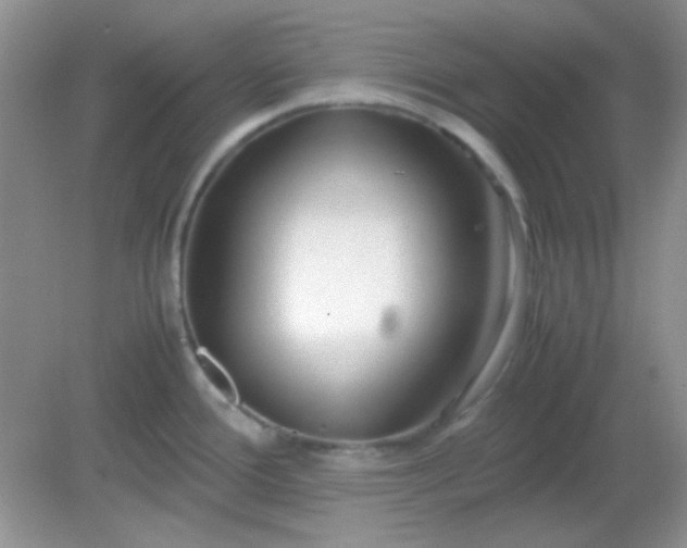 X0000081611388200701291416