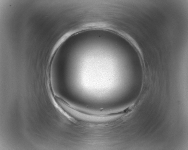 X0000081611389200701291416