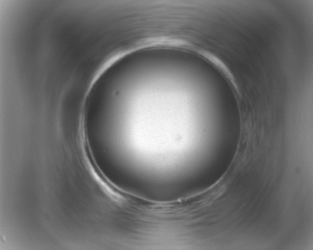 X0000081611391200701291416