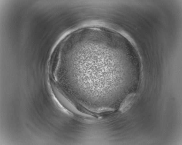 X0000081611392200701291416