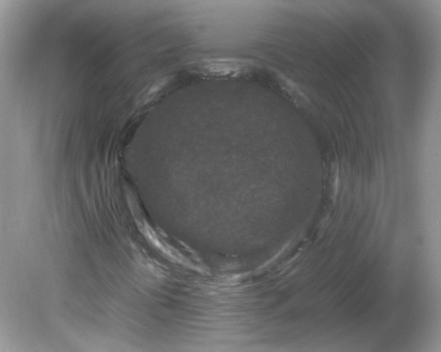 X0000081611394200701291415