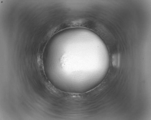 X0000081611395200701291415