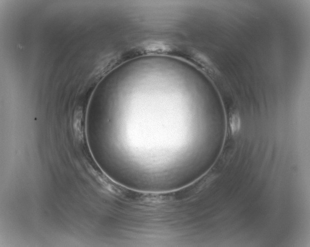 X0000081611396200701291415