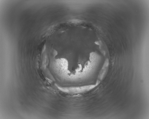 X0000081611397200701291415