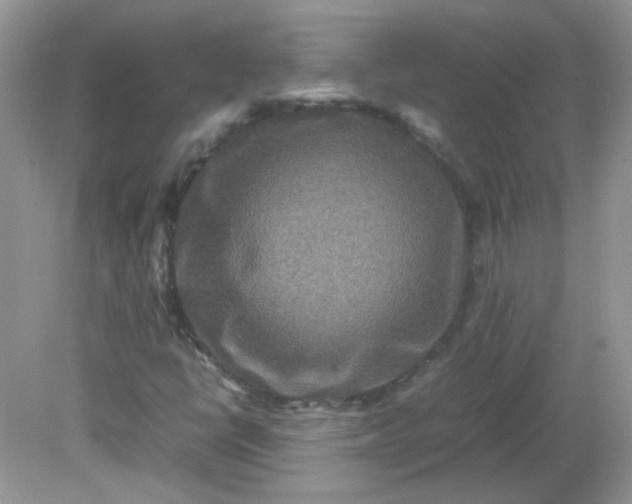 X0000081611398200701291415